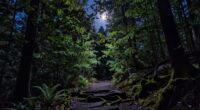 respectful nighttime nature enjoyment
