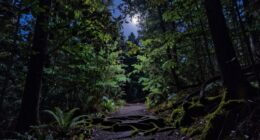 respectful nighttime nature enjoyment