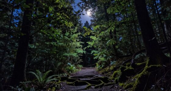 respectful nighttime nature enjoyment