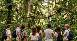 responsible manuel antonio tourism