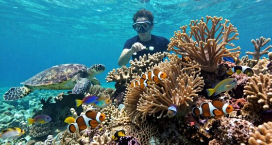 responsible reef tourism