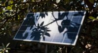 shade reduces solar efficiency
