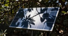 shade reduces solar efficiency