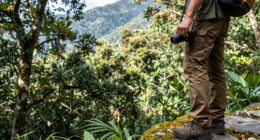 simpler gear enhances exploration