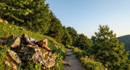 simplify travel for sustainability