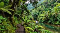sustainable eco friendly travel practices