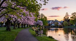 tranquil city peaceful vibe