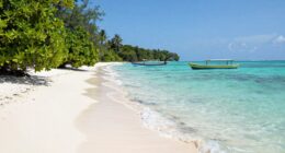 travel tips for bocas