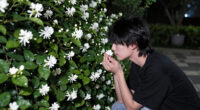 14 Best Night-Scented Flowers in 2026