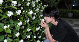 14 Best Night-Scented Flowers in 2026