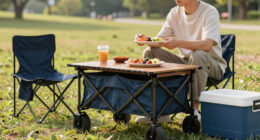 8 Best Outdoor Tailgating Furniture in 2026