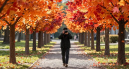 13 Best Faux Fall Foliage in 2026