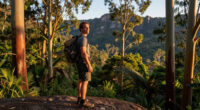 Nattai National Park, New South Wales, Australia Surges In Global Coverage