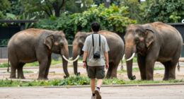 Zoologischer Garten Berlin