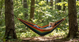 11 Best Portable Travel Hammocks in 2026