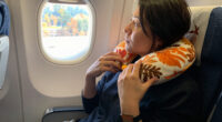 13 Best Fall Travel Neck Pillows in 2026