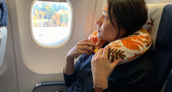 13 Best Fall Travel Neck Pillows in 2026
