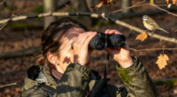 15 Best Compact Binoculars for Bird Watching in 2027