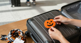 15 Best Halloween Luggage Tags in 2027